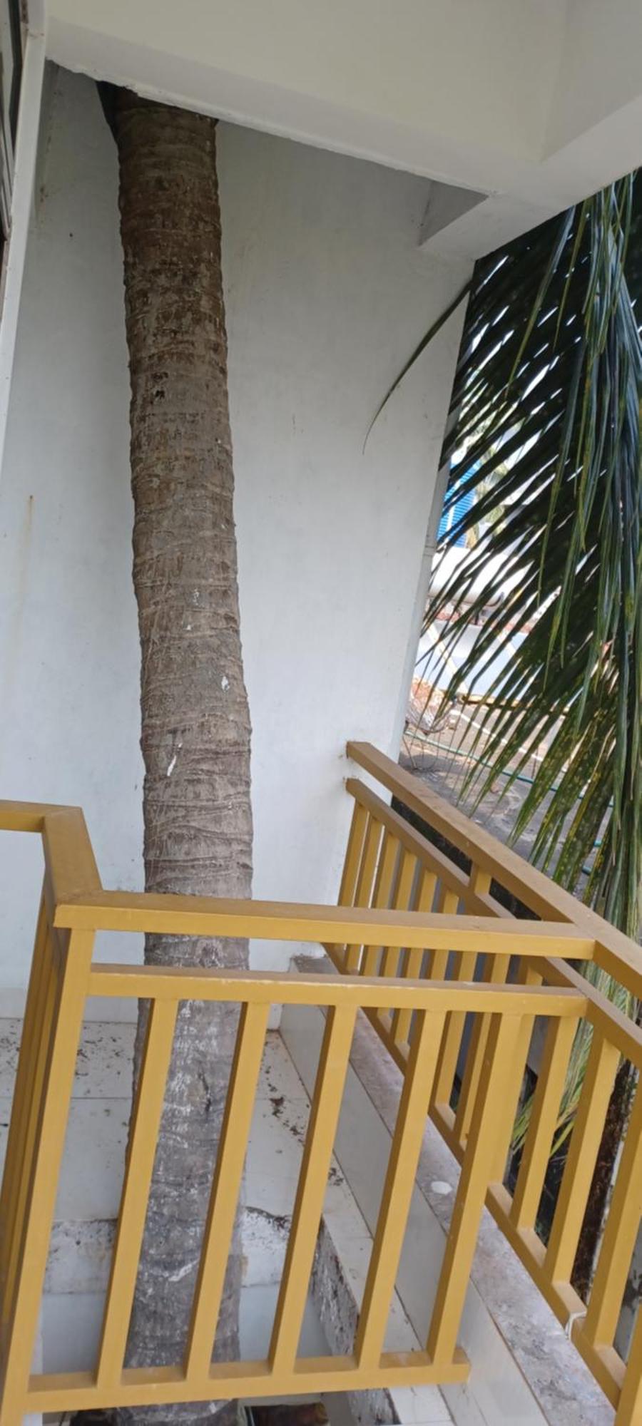 Prakash Holiday Inn Arambol Exterior foto